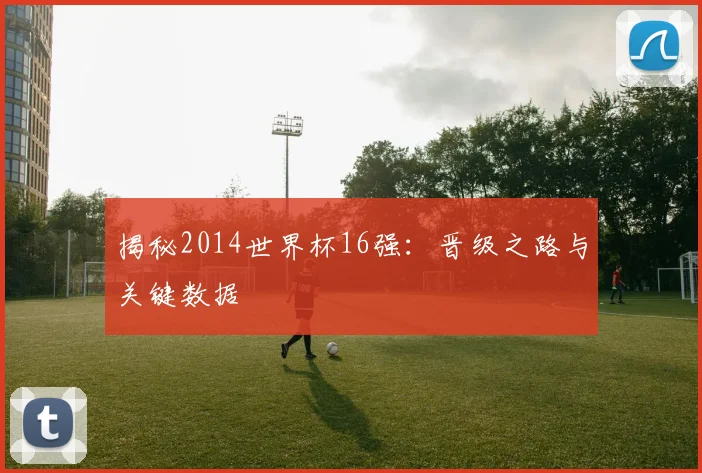 揭秘2014世界杯16强：晋级之路与关键数据