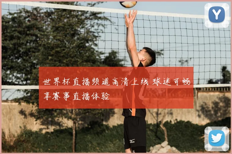 世界杯直播频道高清上线 球迷可畅享赛事直播体验